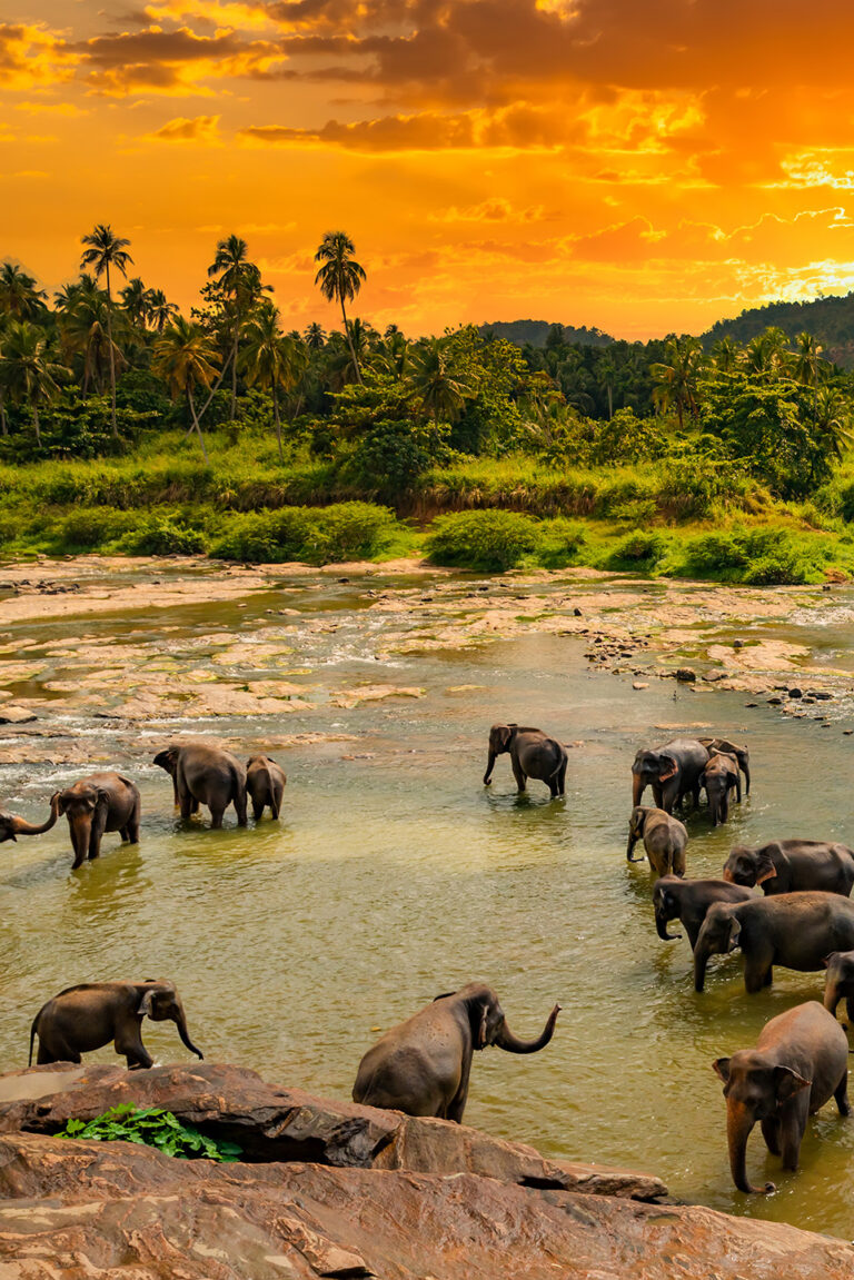 sri lanka magica