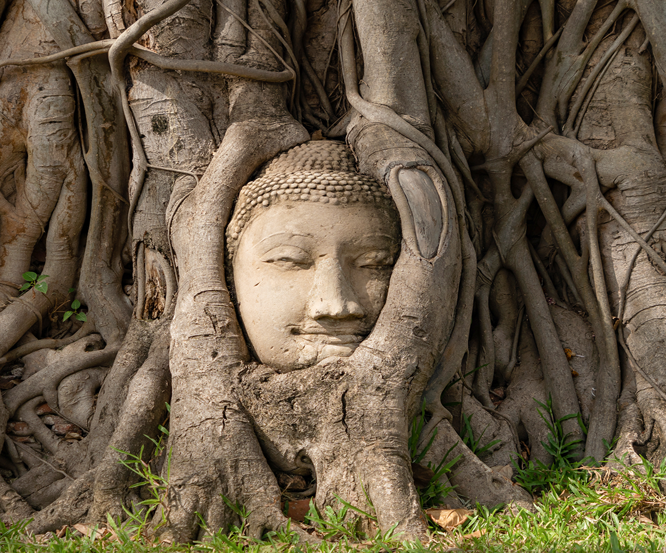 Visita Camboya con Ekimane