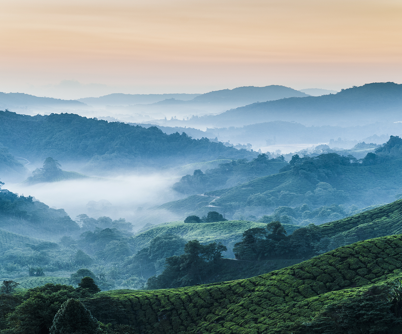 Viaja a Malasia con Ekimane
