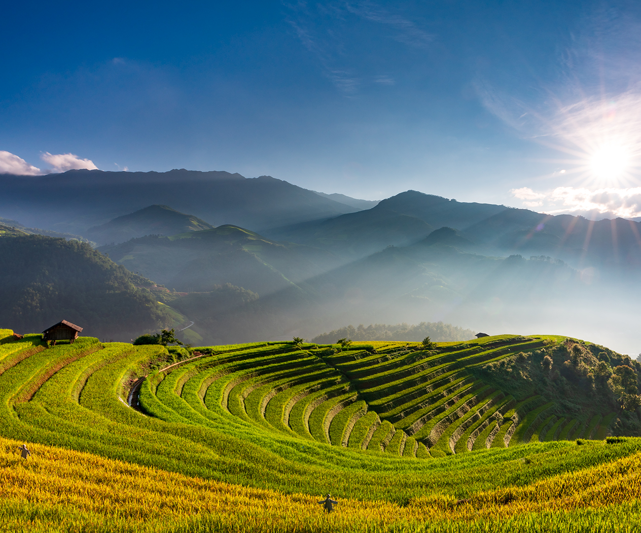 Visita Vietnam con Ekimane